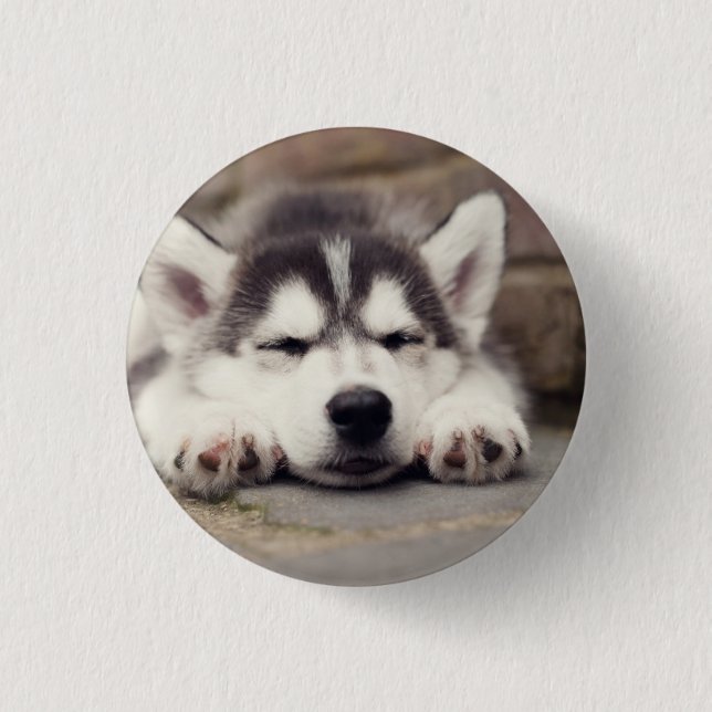 Sweet Siberian Husky Puppy Sleeping Button (Front)