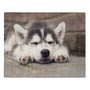 Sweet Siberian Husky Puppy Sleeping Jigsaw Puzzle