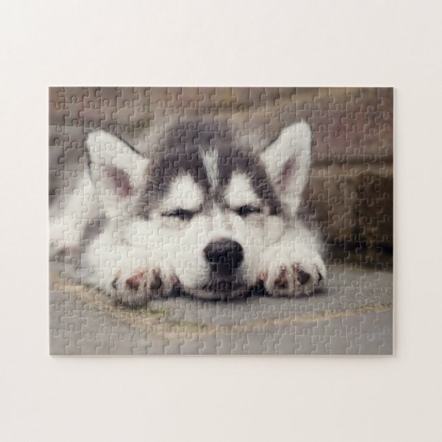 Sweet Siberian Husky Puppy Sleeping Jigsaw Puzzle (Horizontal)