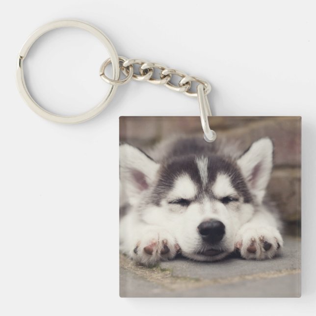 Sweet Siberian Husky Puppy Sleeping Keychain (Front)