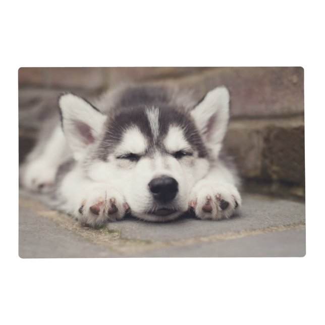 Sweet Siberian Husky Puppy Sleeping Placemat (Front)