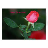 Sweet Sisterhood (Front Horizontal)