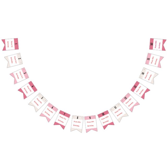 Sweet Sixteen Photo Bunting Flags (All)