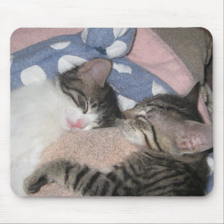 Sweet Sleeping Kittens Mouse Pad