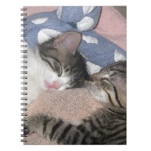 Sweet Sleeping Kittens Notebook