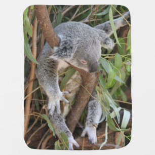 Sweet Sleeping Koala Bear Baby Blanket