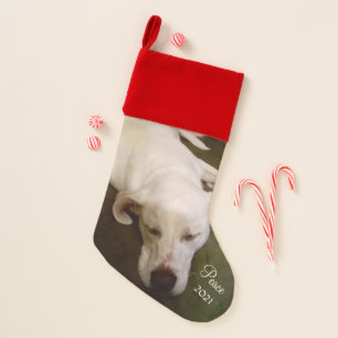 Sweet Sleeping White Puppy Dog Peace Christmas Stocking
