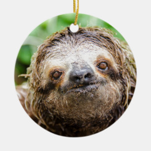Sweet Sloth Ceramic Ornament