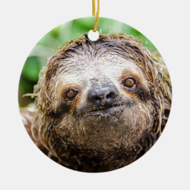 Sweet Sloth Ceramic Ornament (Front)