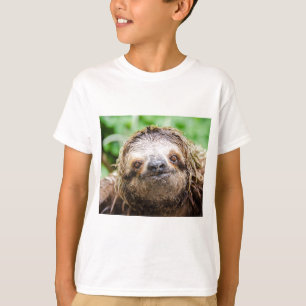 Sweet Sloth T-Shirt
