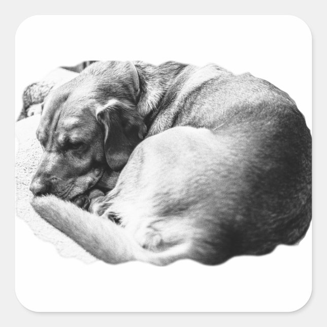 Sweet Slumber Square Sticker (Front)