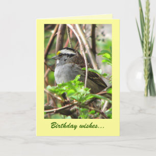 Sweet Sparrow Birthday Card