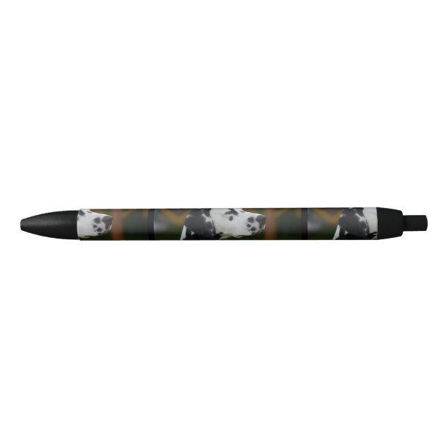Sweet Spotted Dalmatian Pen (Front)