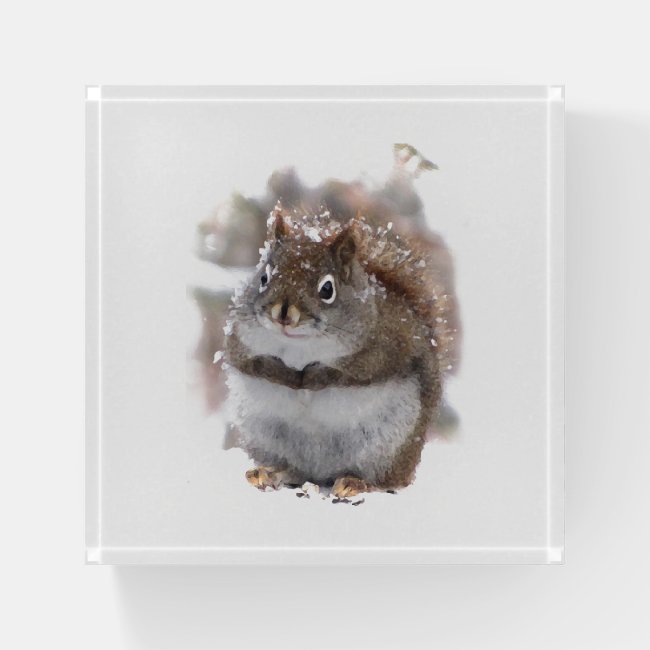 Sweet Squirrel Animal Glass Paperweight