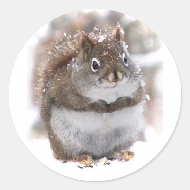 Sweet Squirrel Classic Round Sticker (Front)