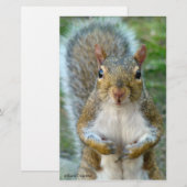 Sweet Squirrel Face (Front/Back)