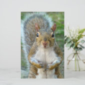 Sweet Squirrel Face (Standing Front)
