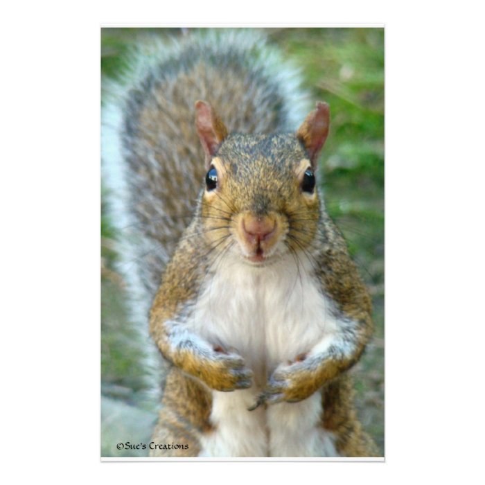 Sweet Squirrel Face Personalized Stationery