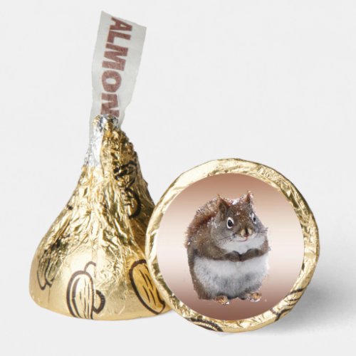 Sweet Squirrel Hersheys Kisses