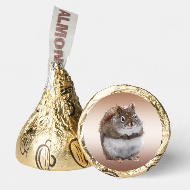 Sweet Squirrel Hershey®'s Kisses®