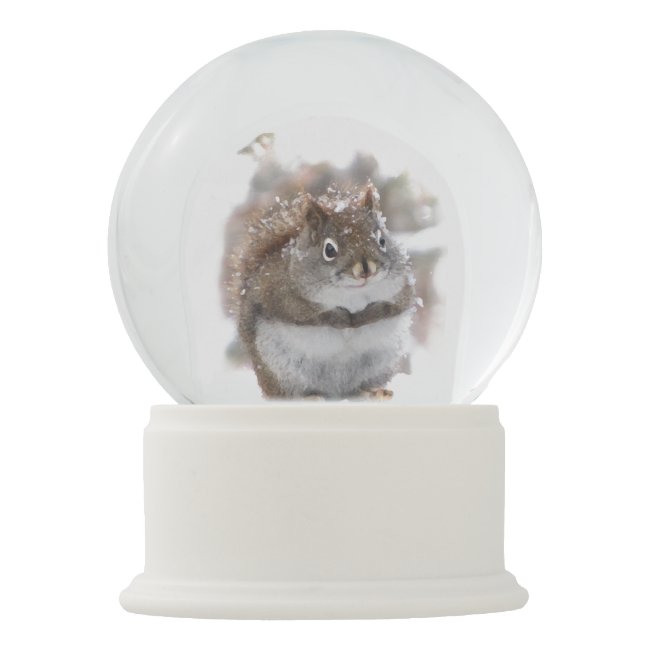 Sweet Squirrel in Winter Storm Snow Globe