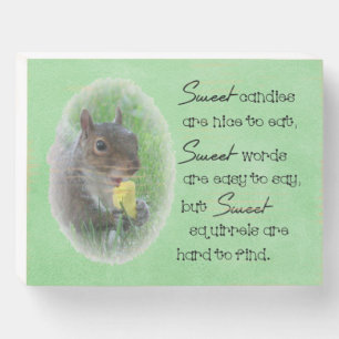 Sweet Squirrel Quote Photo Wooden Box Sign