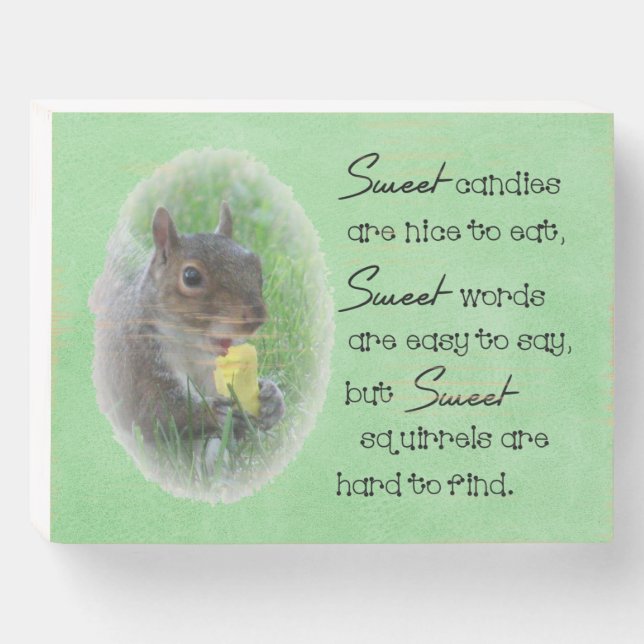 Sweet Squirrel Quote Photo Wooden Box Sign (Front Horizontal)