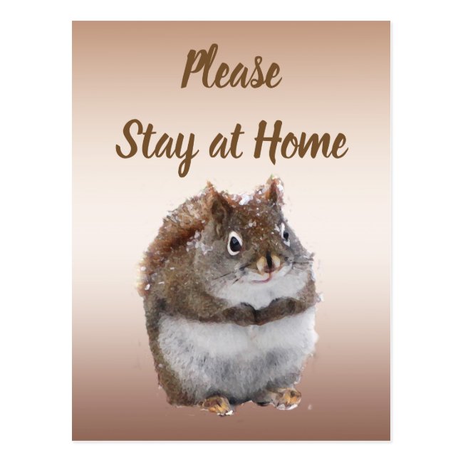 Sweet Squirrel Says Please Stay at Home Postcard