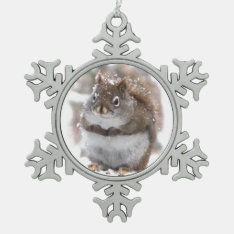Sweet Squirrel Snowflake Pewter Christmas Ornament at Zazzle
