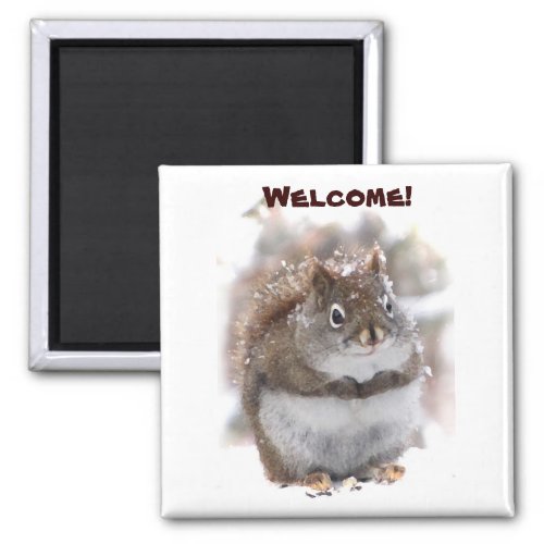Sweet Squirrel Welcome Magnet