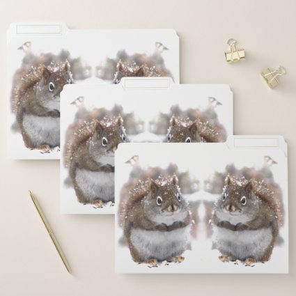 Sweet Squirrels File Folder Set