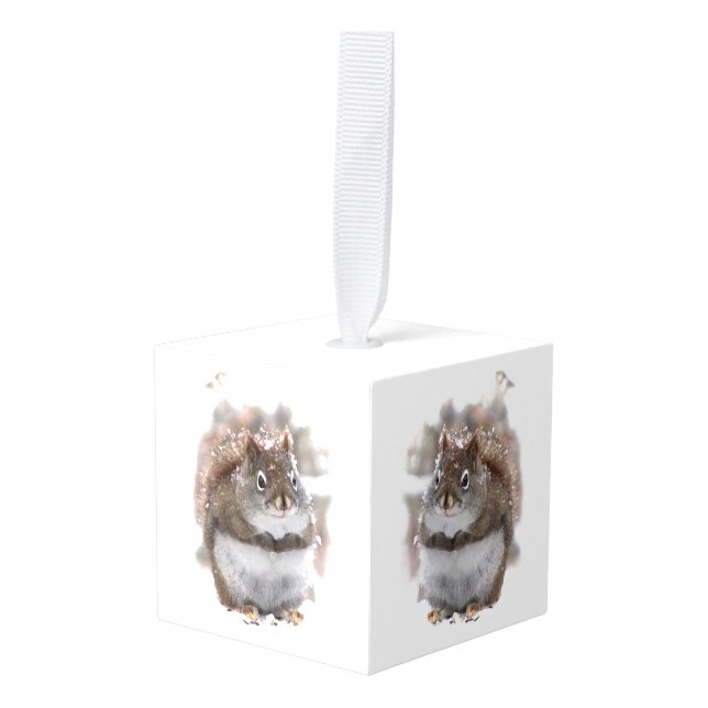 Sweet Squirrels in Winter Animal Cube Ornament (Front Angled)