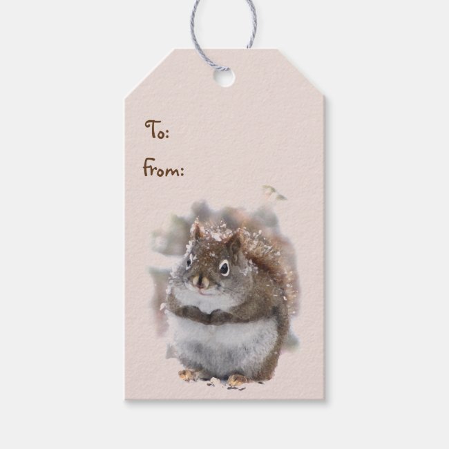 Sweet Squirrels Pack of Gift Tags