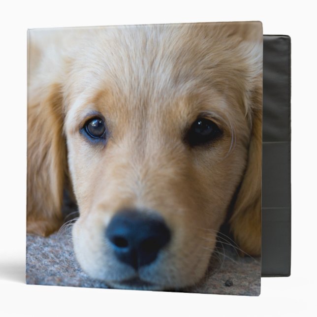 Sweet, Sweet Puppy 3 Ring Binder (Front/Inside)