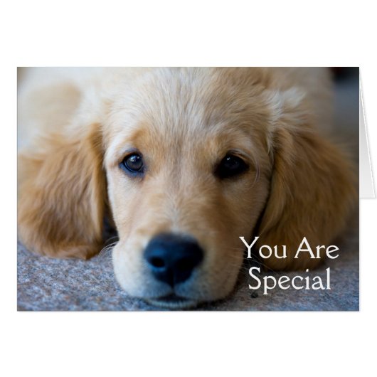 Sweet, Sweet Puppy Cards (Front Horizontal)