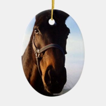 Sweet Thoroughbred Horse Ornament by HorseStall at Zazzle