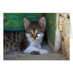 Sweet Tiger Cat Baby Cards