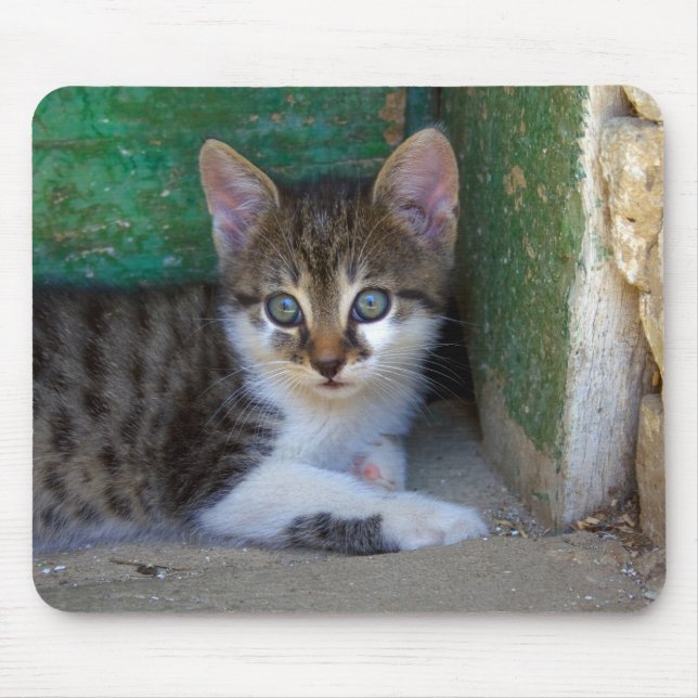 Sweet Tiger Cat Baby Mouse Pad (Front)