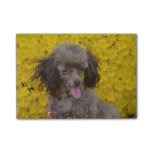 Sweet Tiny Brown Poodle Post-it Notes