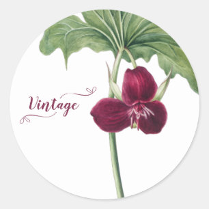 Sweet Trillium Botanical Classic Round Sticker