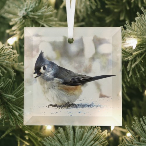 Sweet Tufted Titmouse Bird Beveled Glass Ornament
