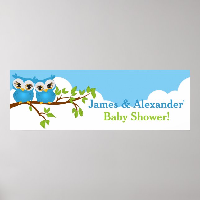 Sweet Twins Owls Boy Baby Shower Banner Poster (Front)