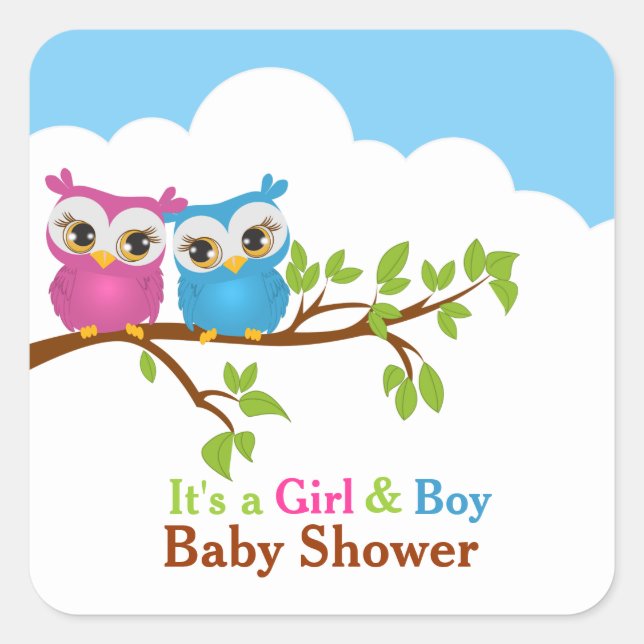 Sweet Twins Owls Boy Girl Baby Sticker (Front)