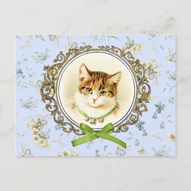 Sweet vintage cat portrait postcard (Front)