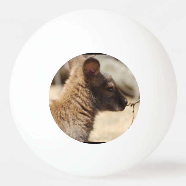 Sweet Wallaby Ping-Pong Ball (Front)