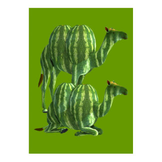 Sweet Watermelons Camels Poster