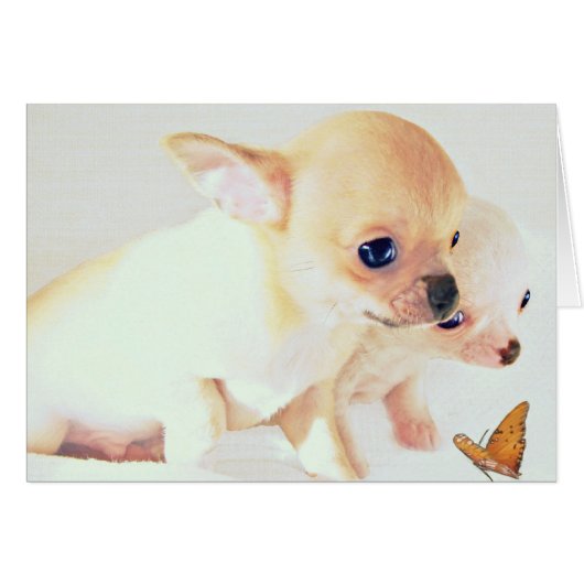 Sweet wee puppies card (Front Horizontal)