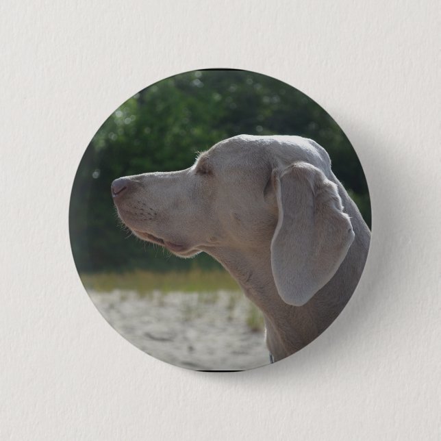 Sweet Weimaraner Dog Profile Button (Front)