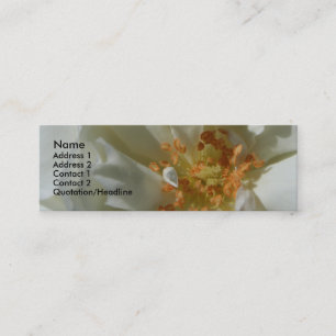 Sweet White 2 White Roses Business cards