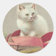 Sweet white kitten in pink cart Victorian Vintage 